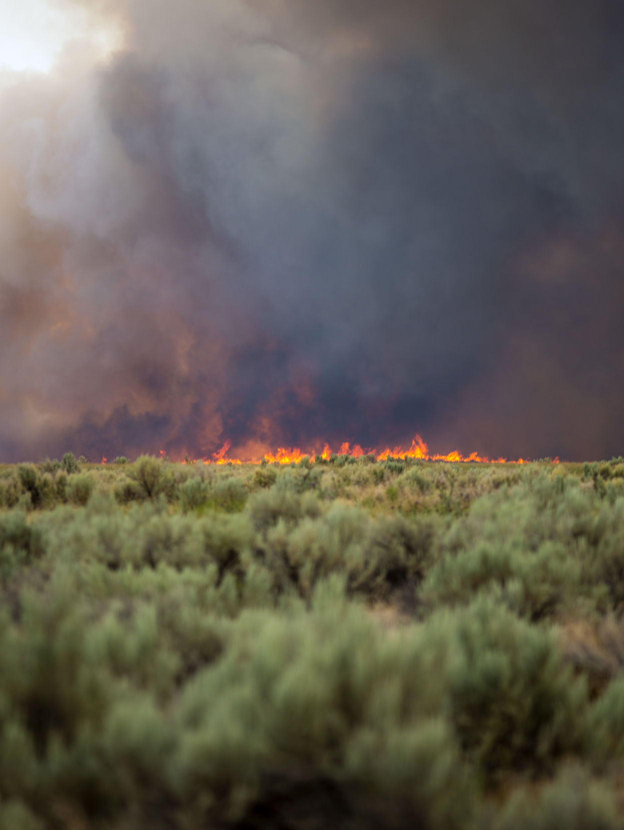 Wildfire burns near Declo